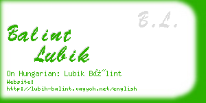 balint lubik business card